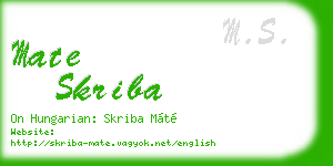 mate skriba business card